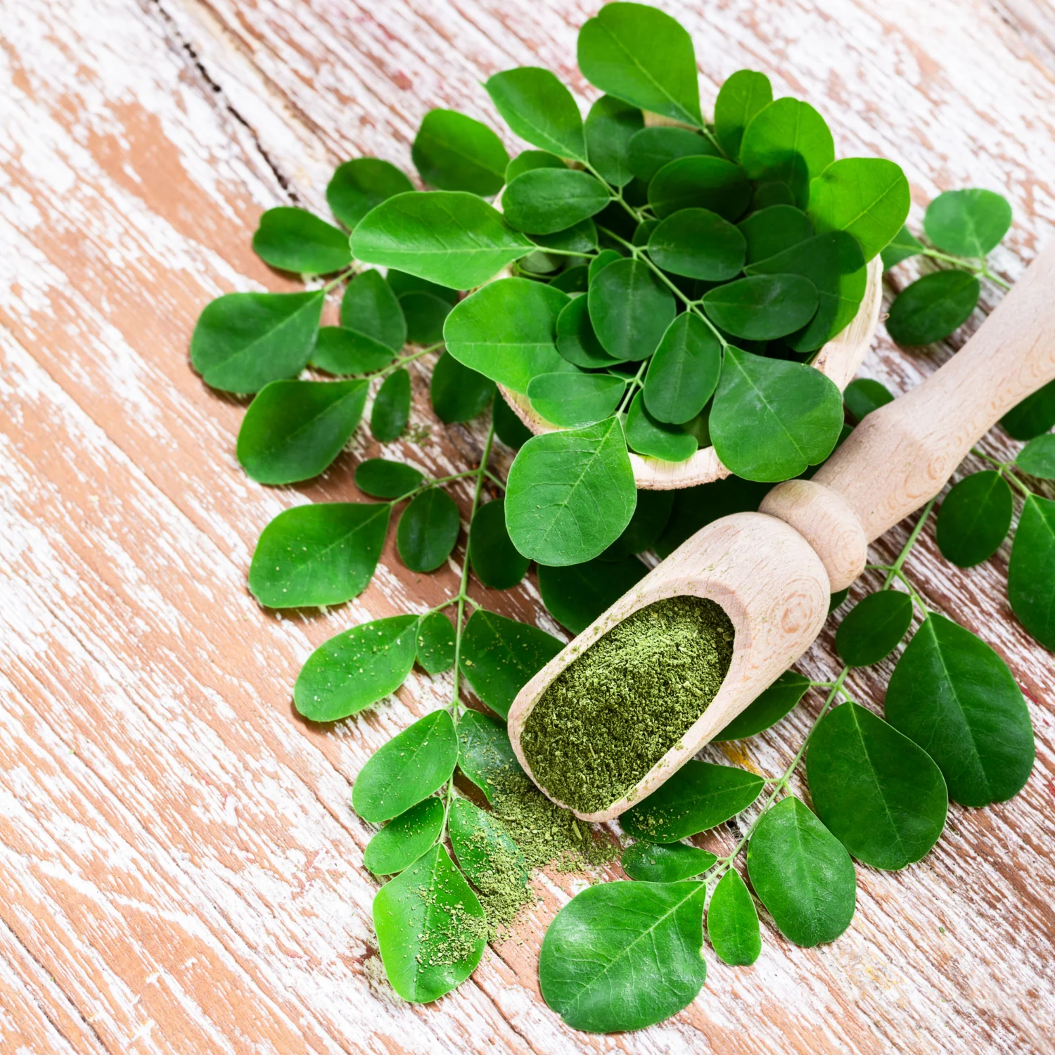 Moringa: Descubra os 7 Benefícios da “Árvore Milagrosa” Que Vai Turbinar a Sua Saúde! 🌿💪✨